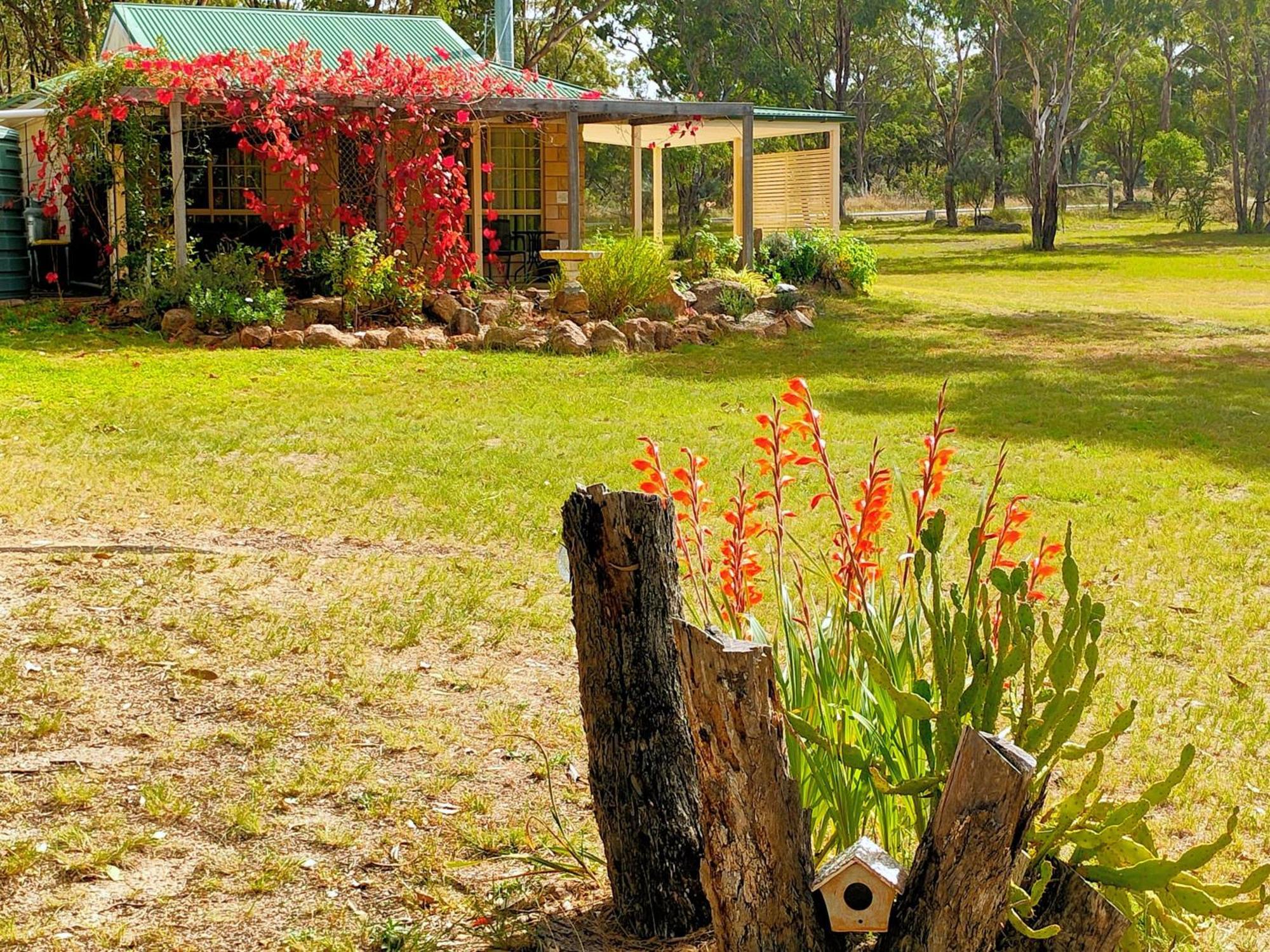Severn River Cottages Severnlea Ngoại thất bức ảnh