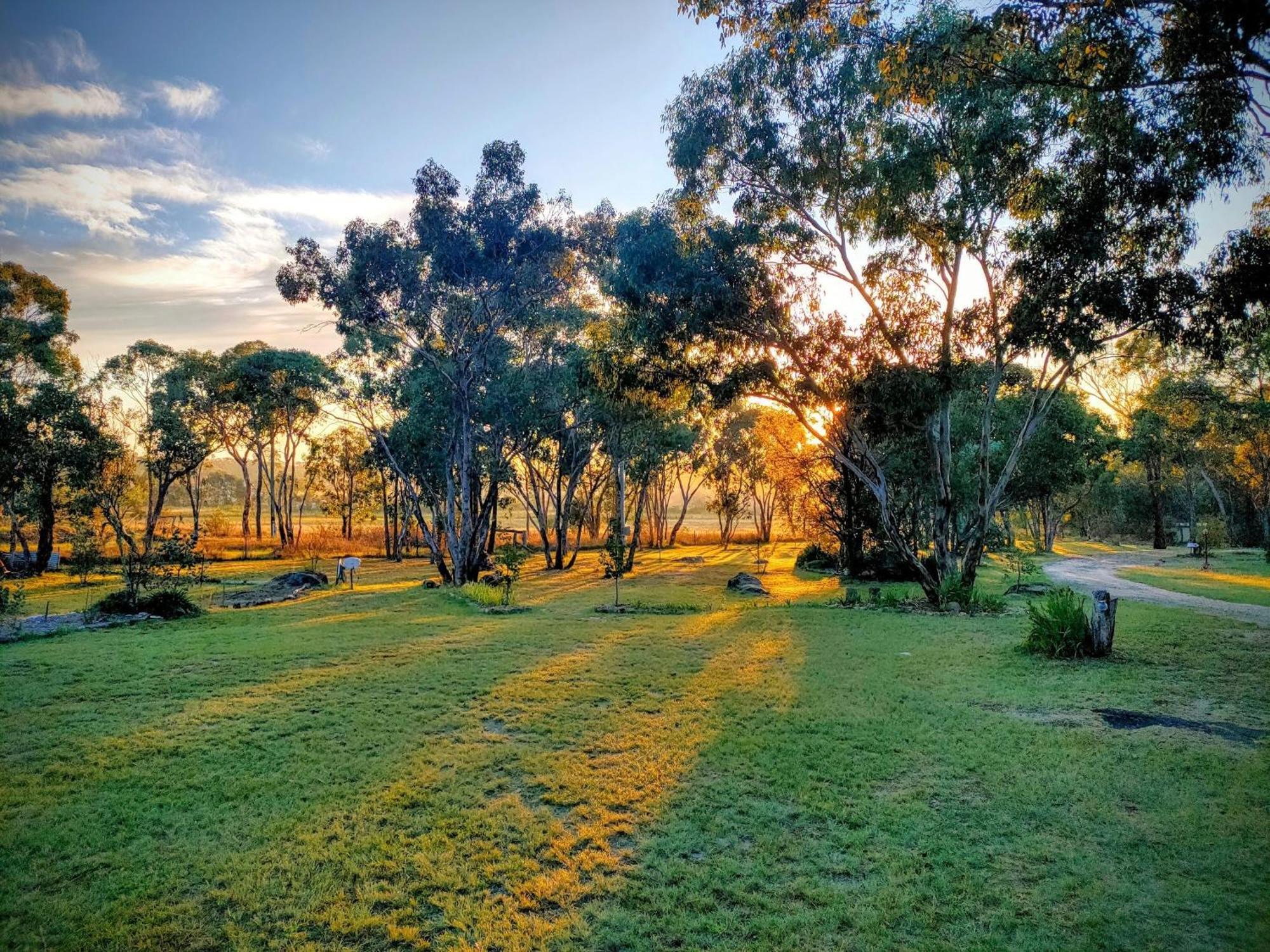 Severn River Cottages Severnlea Ngoại thất bức ảnh